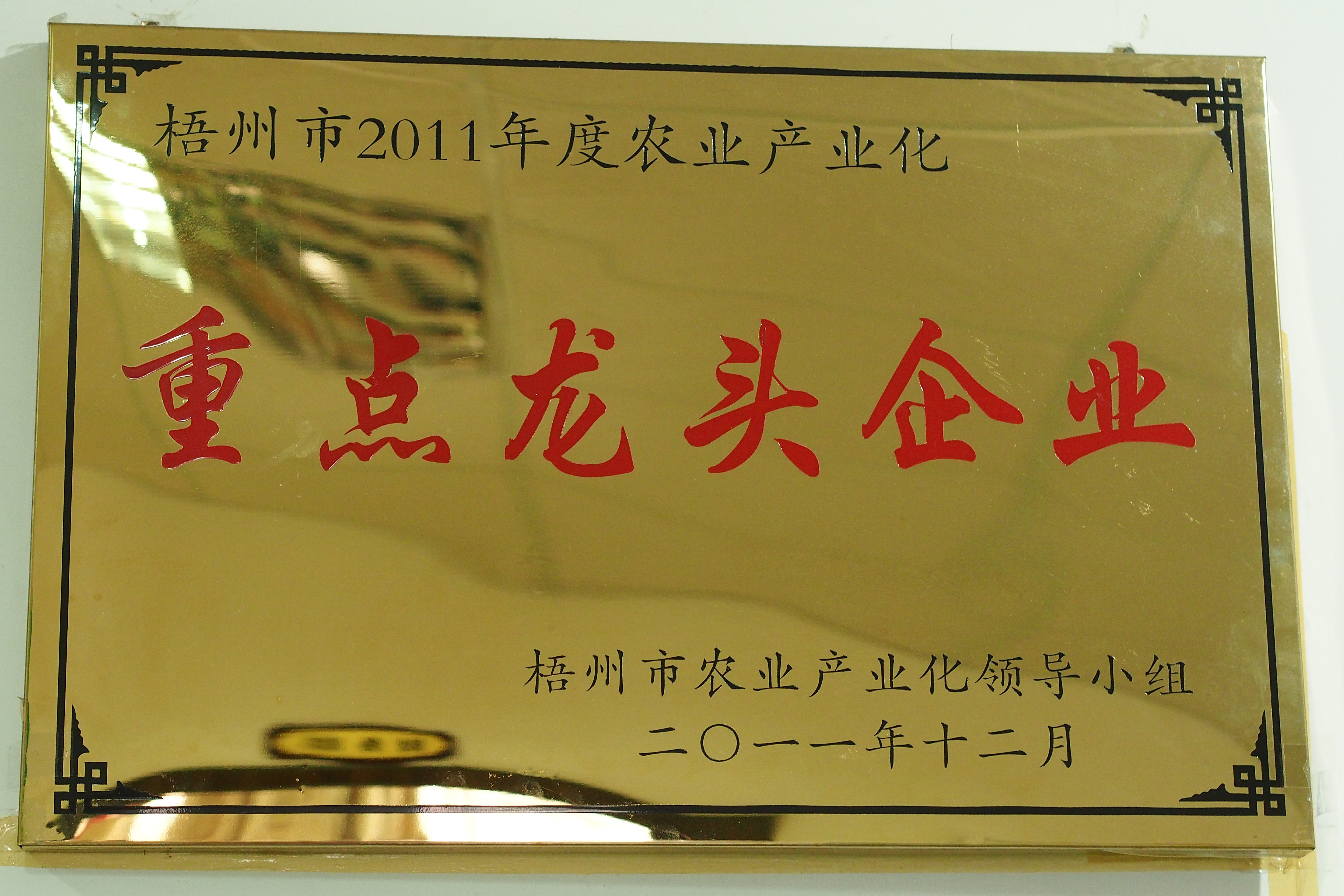 梧州市农业产业化重点龙头企业