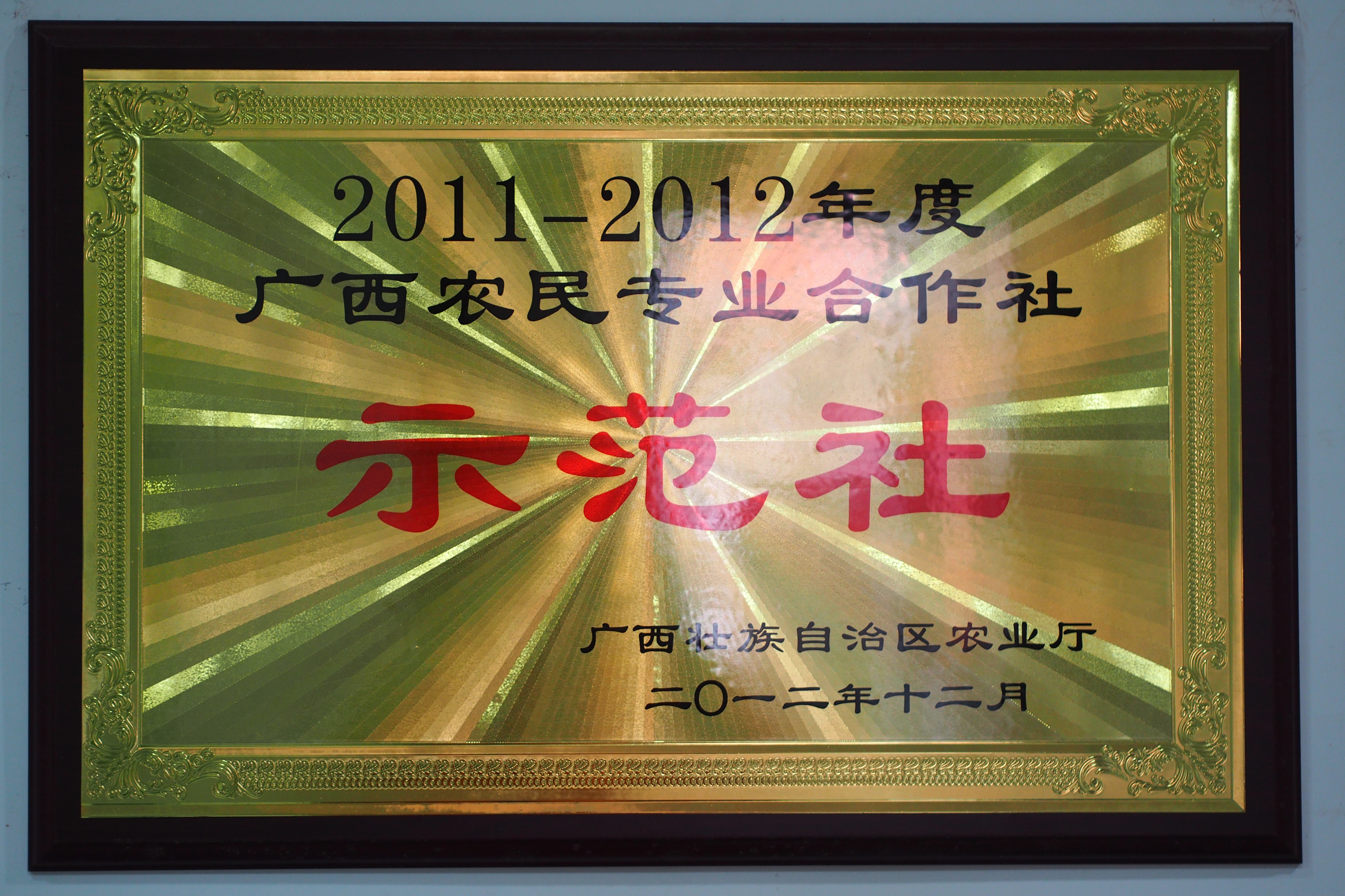 广西农民专业合作社示范社