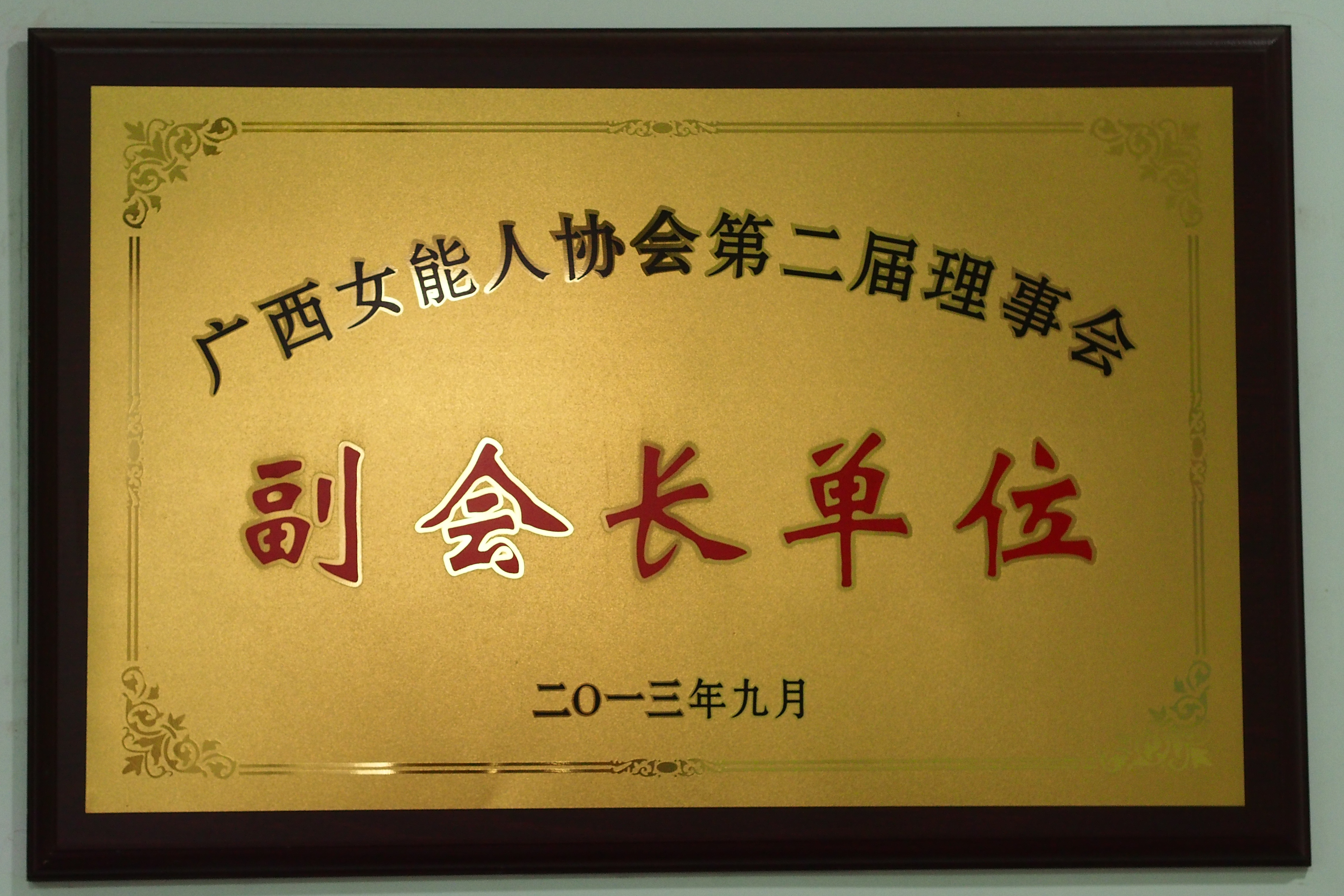 广西女能人协会副会长单位