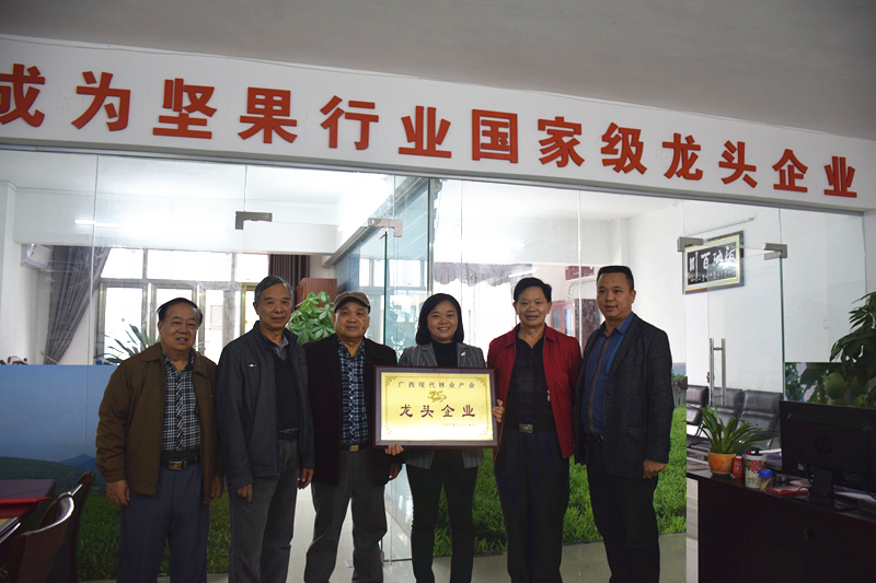 广西现代林业产业龙头企业