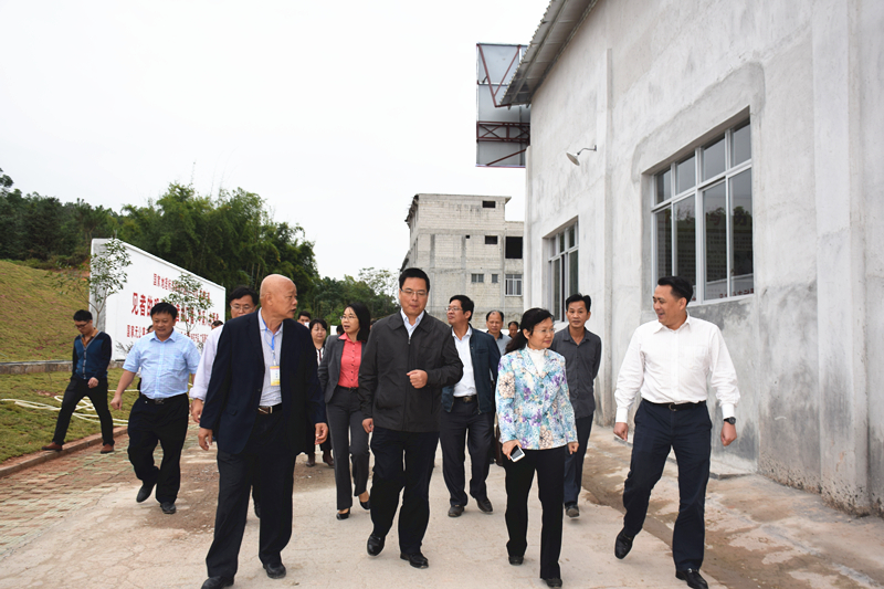 岑溪市打造现代特色农业（核心）示范区